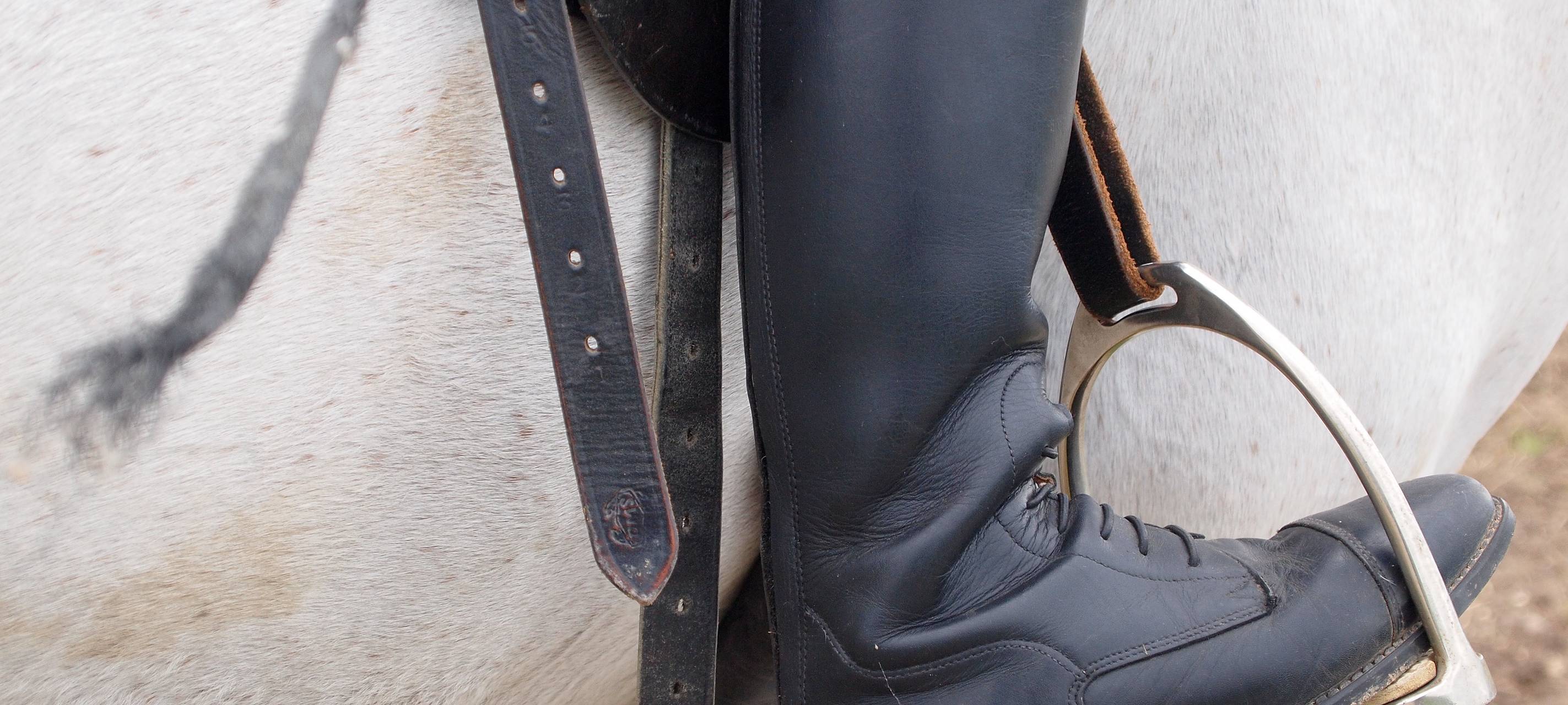 Werne: Lenklarer Reitertage starten