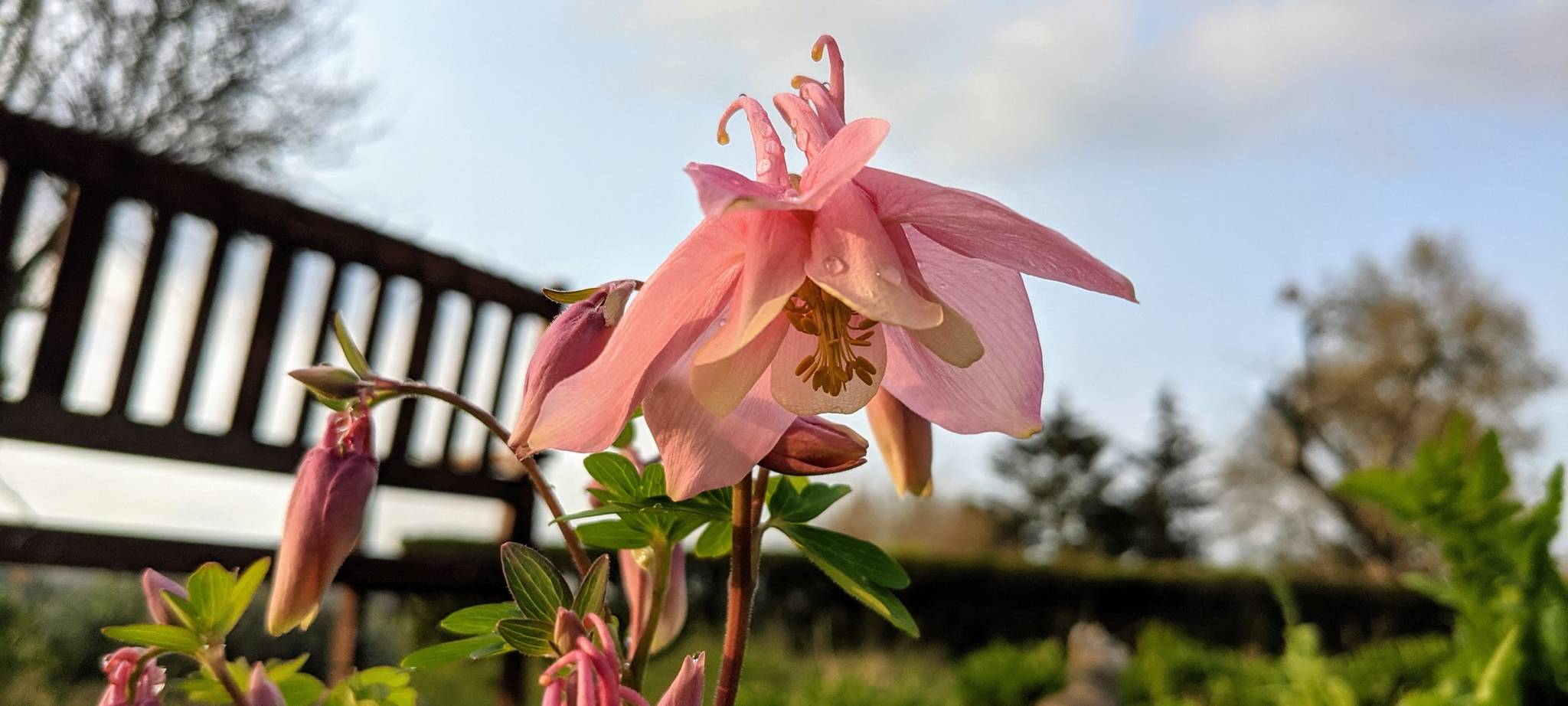 Ein Frühlingsbild von Heike Thiele.