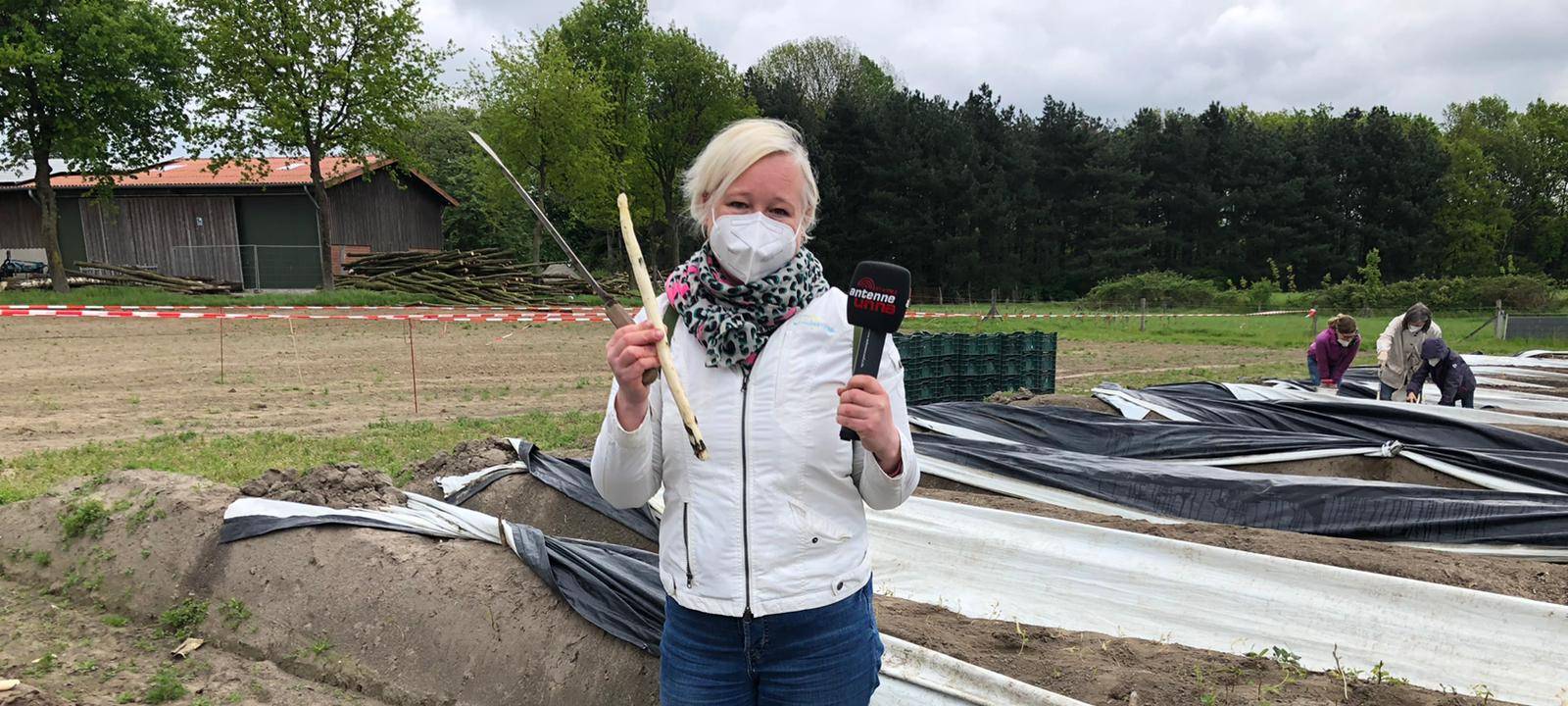 Selbst Spargel ernten in Werne