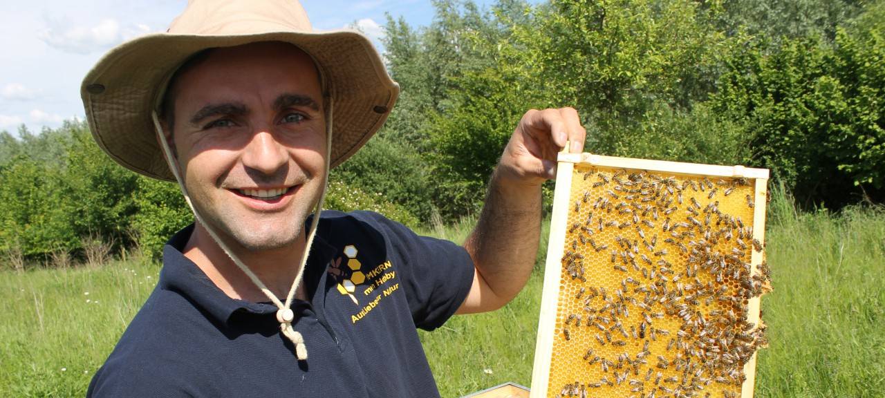 Weltbienentag: Imkern als Hobby