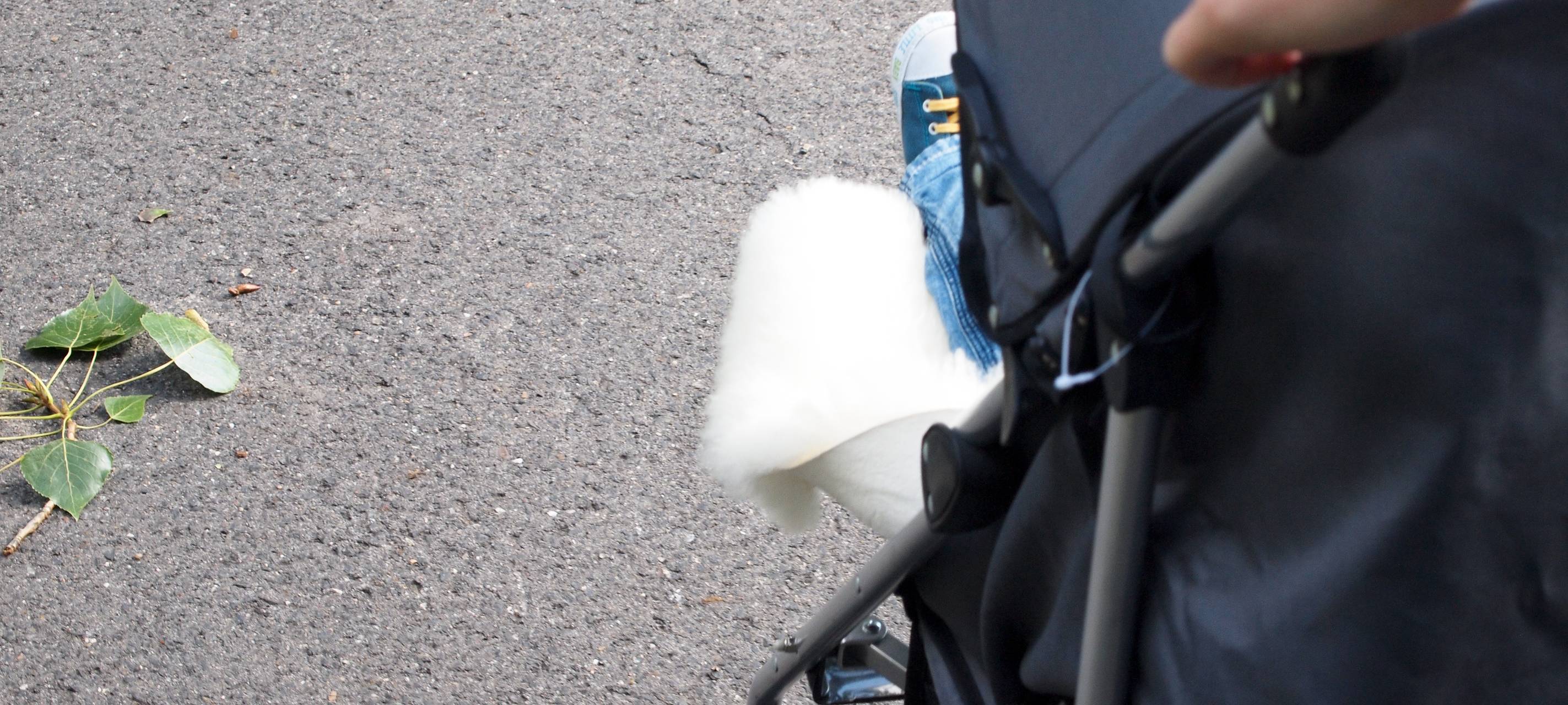 Die Zahlen zum Kindeswohl im Kreis Unna