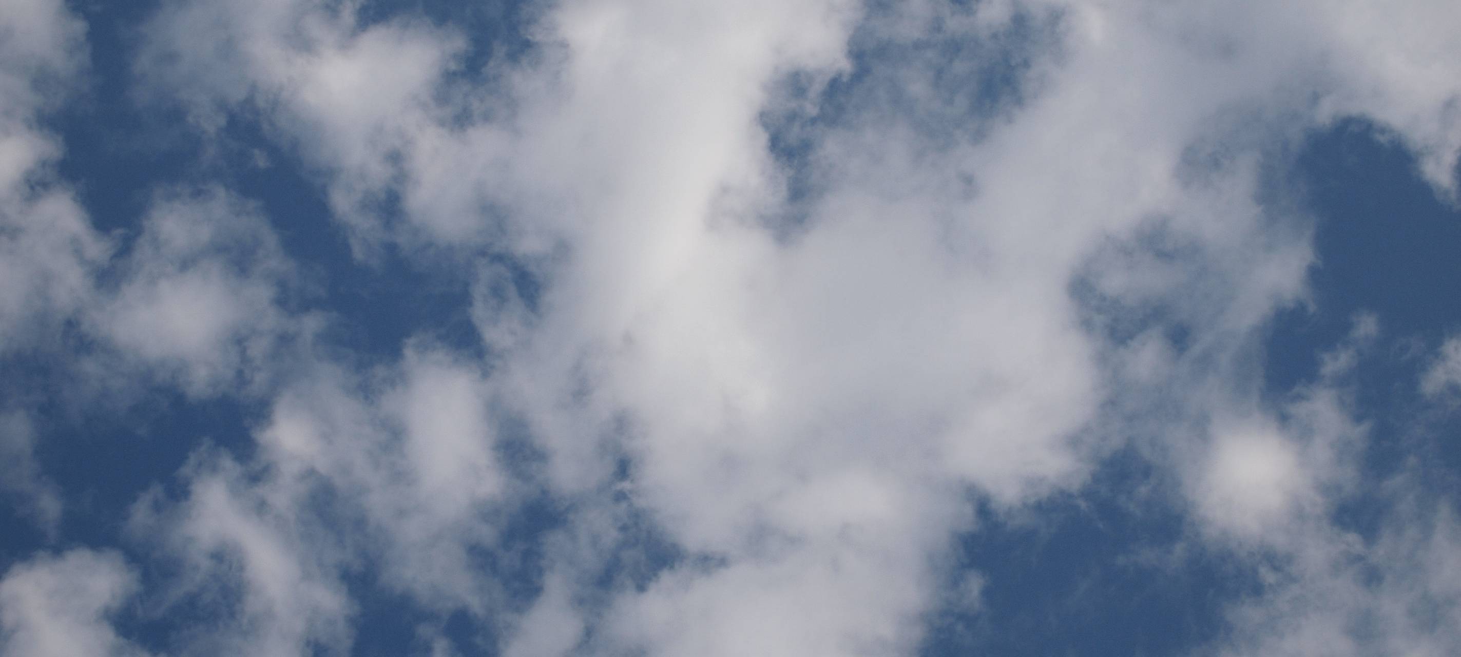 Trödelmärkte in der Region wieder geöffnet