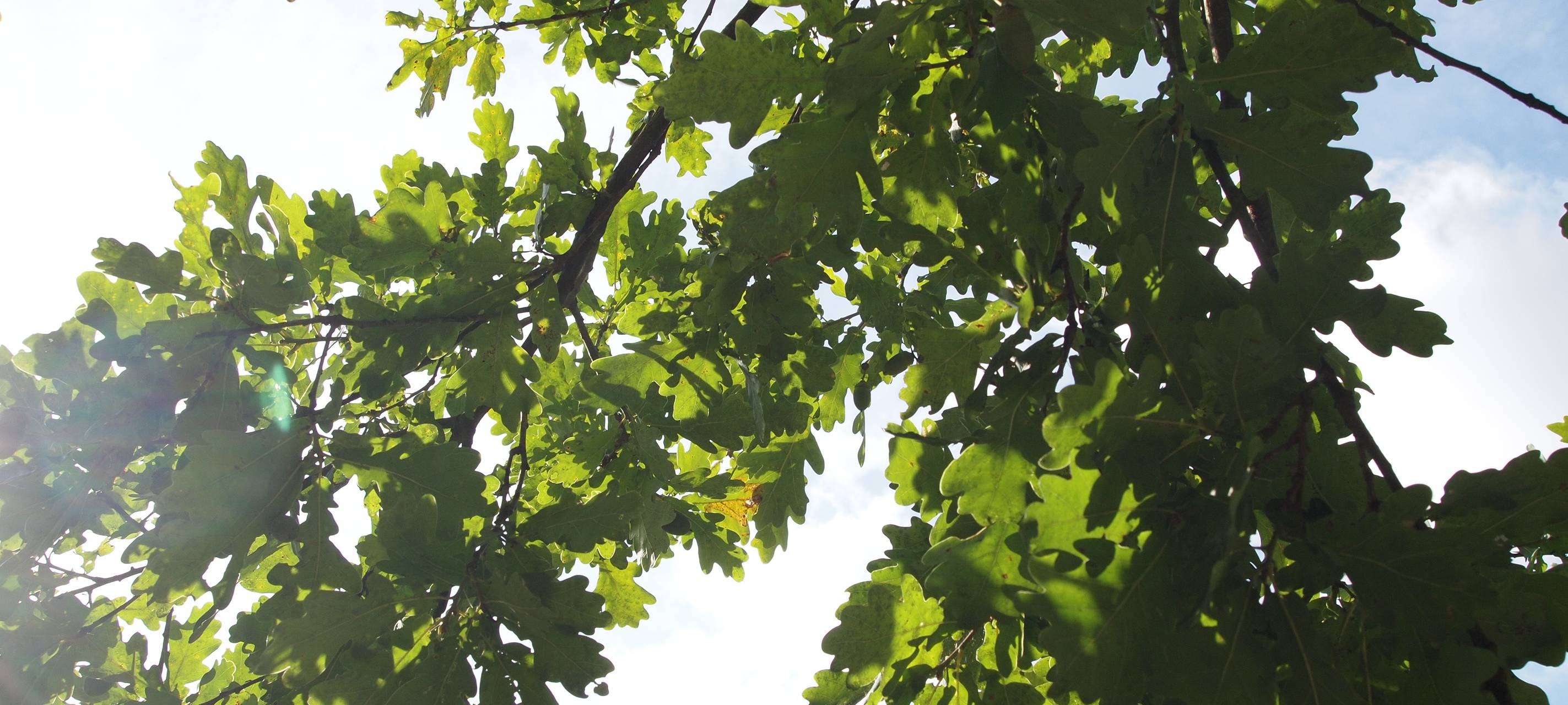 Gedenken an NSU-Opfer in Schwerte