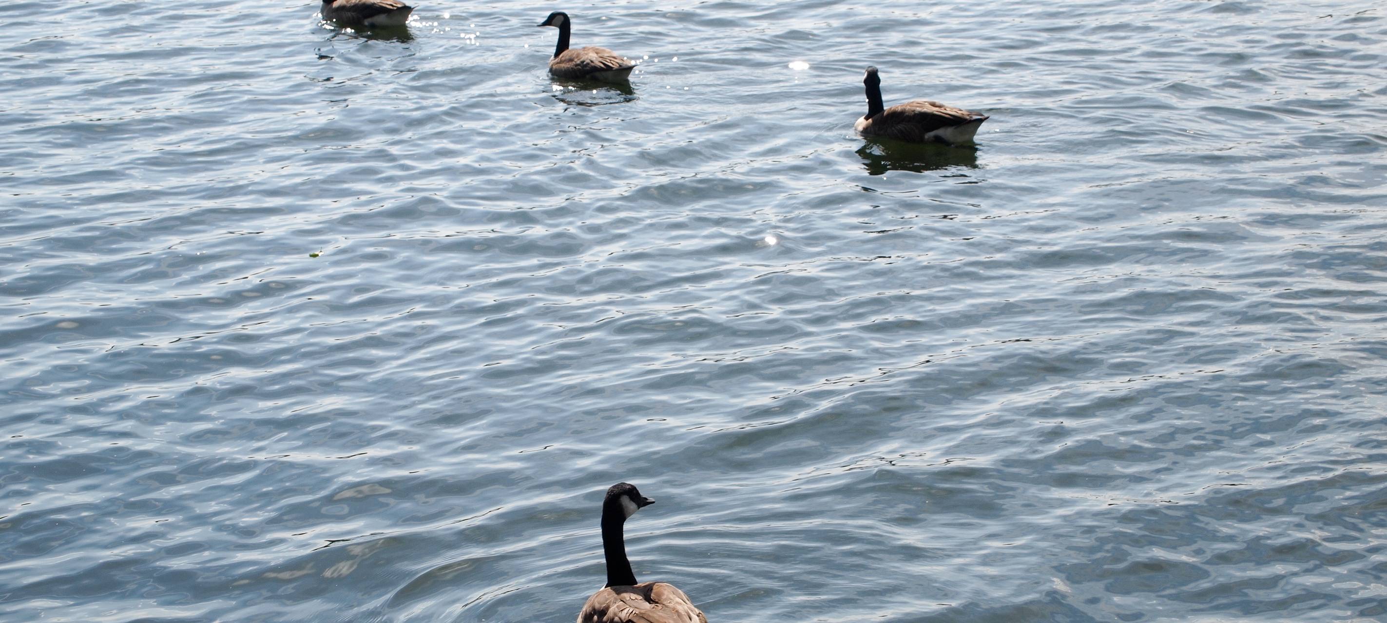 Corona: Existenzangst bei Jugendherbergen