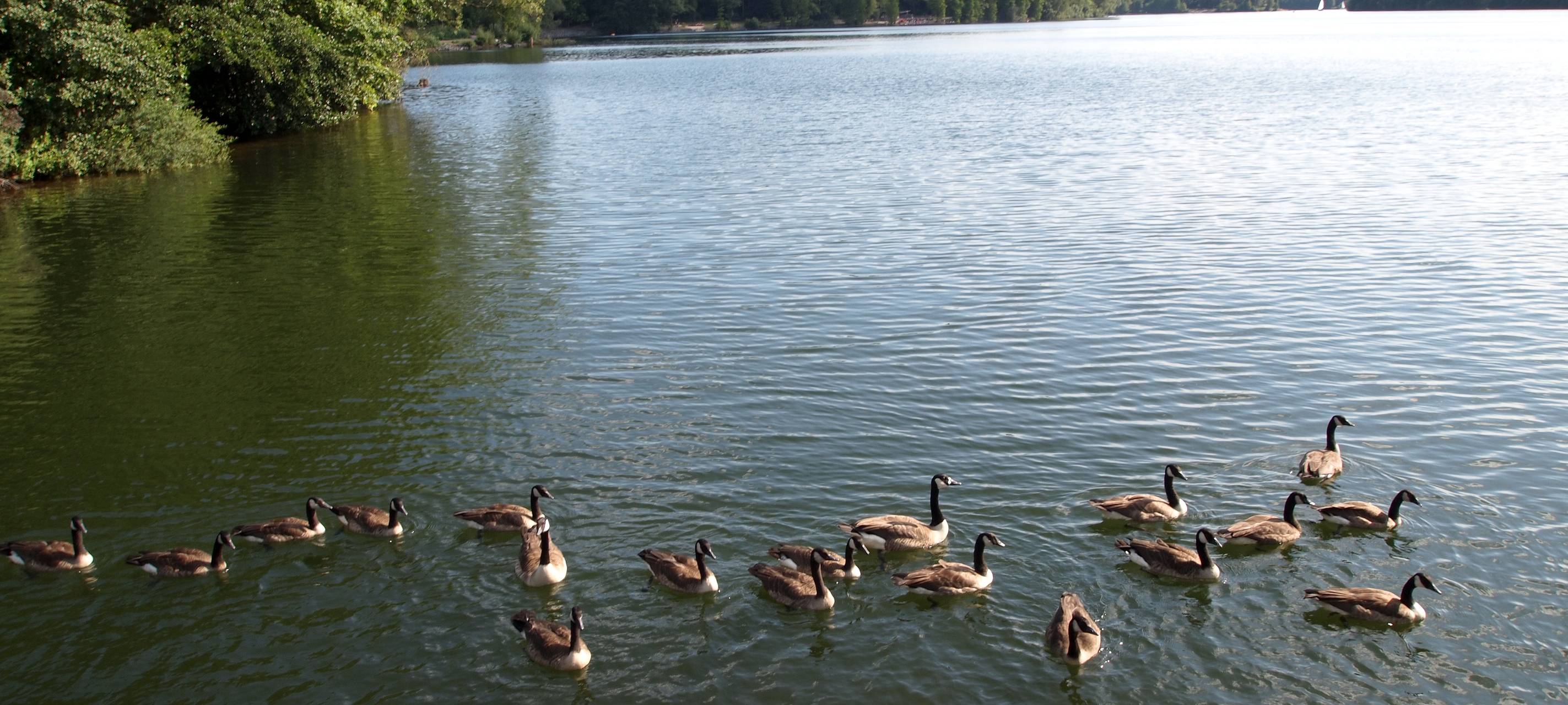 Lünen: Jugendherberge bleibt wegen Corona zu