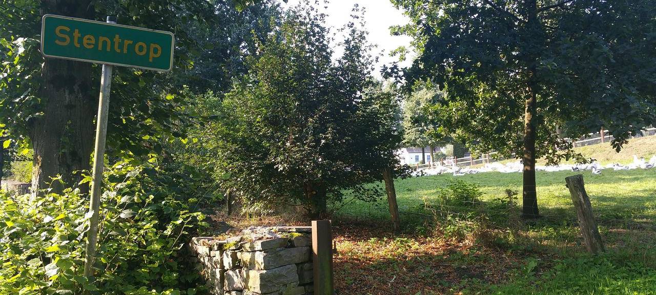 Stadtgespräch über Marktplatz abgesagt