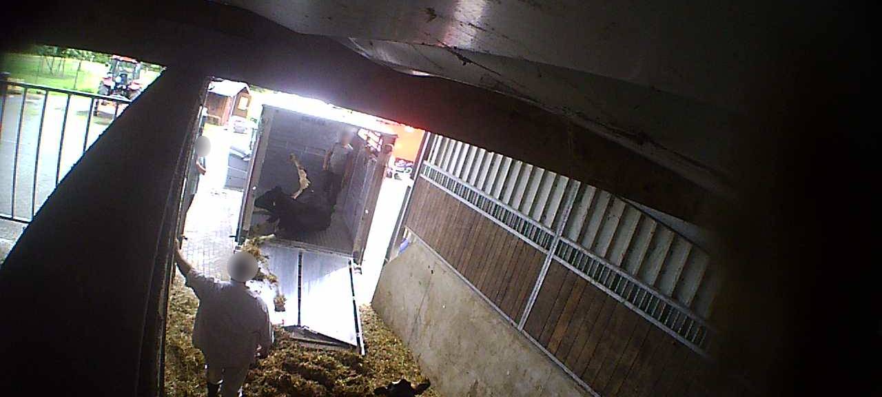 Vorwurf der Tierquälerei gegen Mecke in Werne