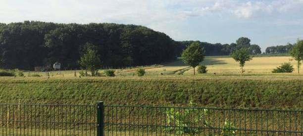 L821n: Kammmolche sorgen für höhere Kosten