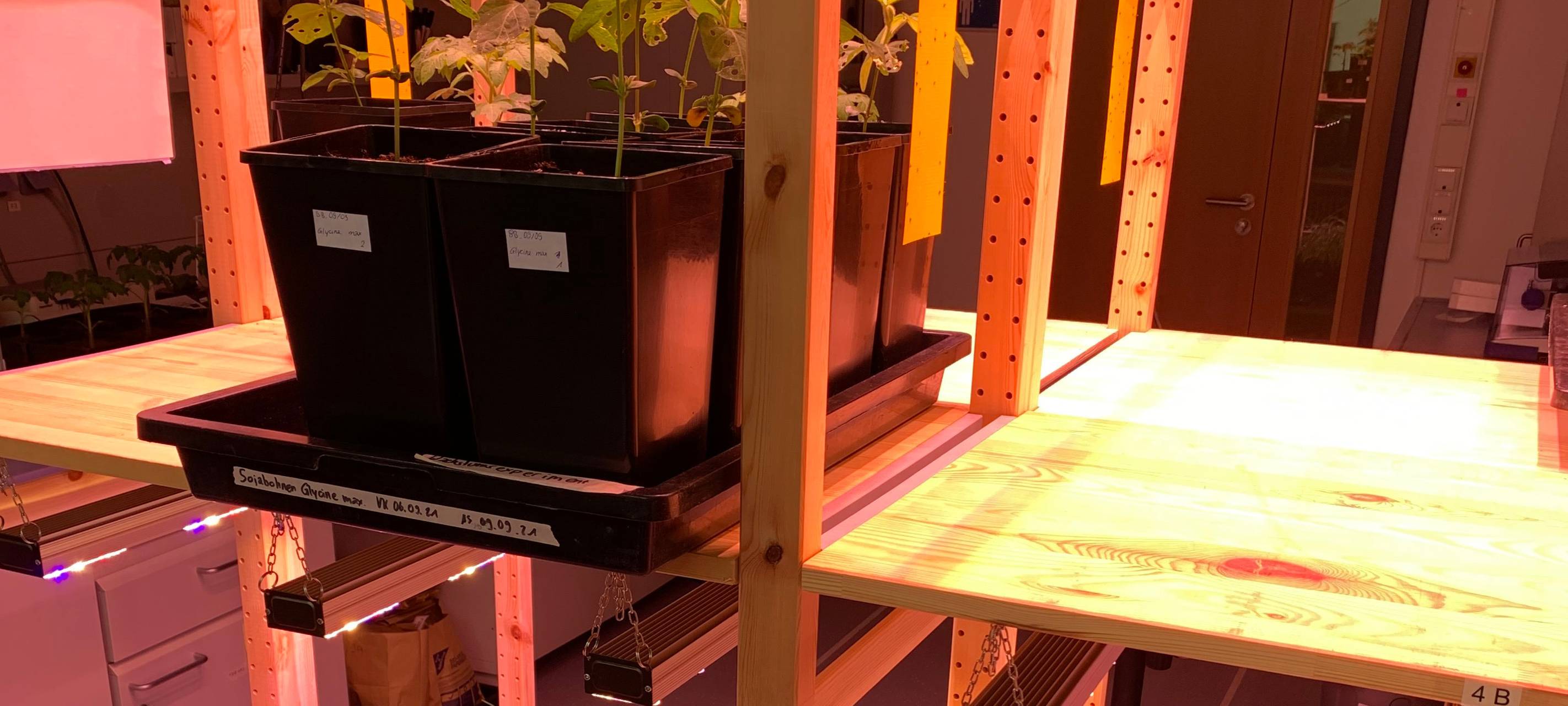 Bex-BioTec aus Bönen