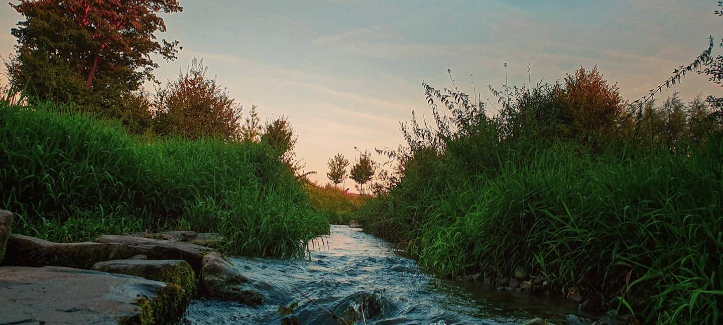 Frauke hat dieses schöne Bild am Bach in Kamen-Heeren eingefangen.