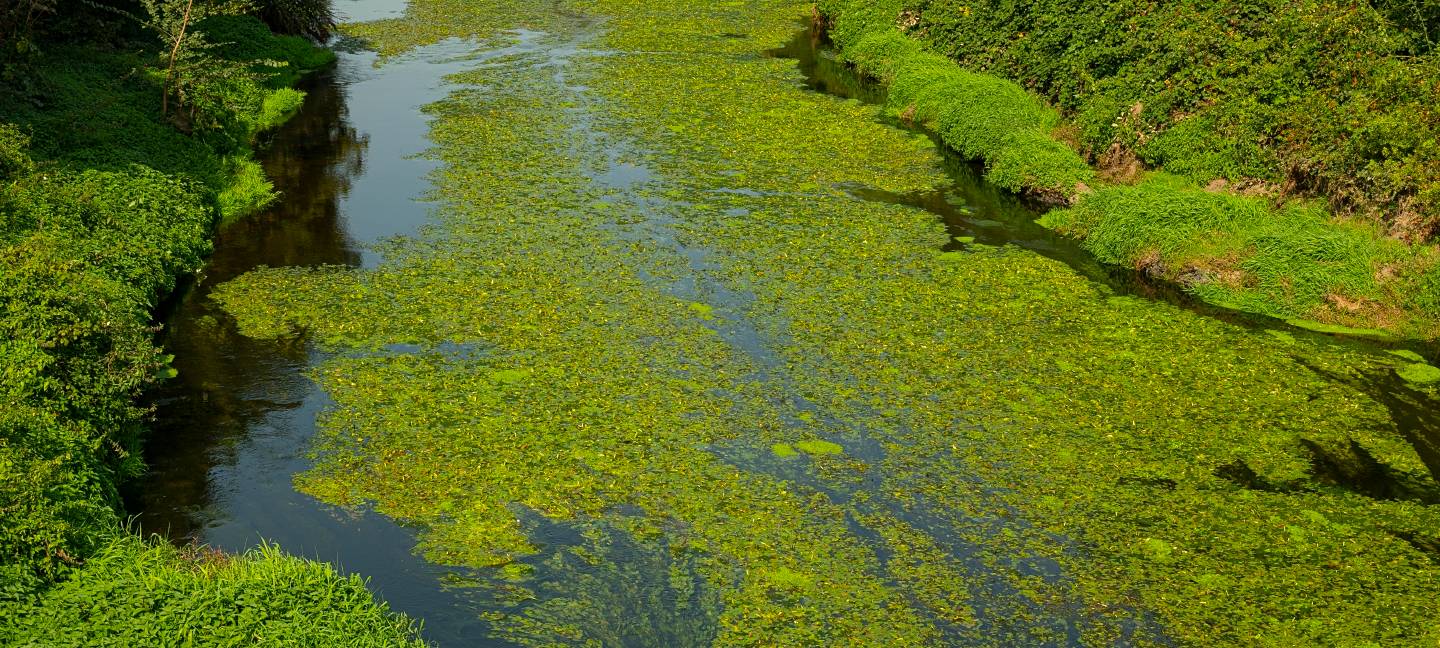 Region profitiert von Emscher-Umbau
