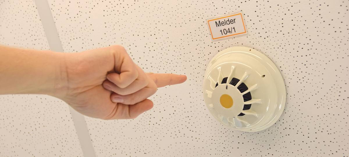 Lebensretter an der Decke