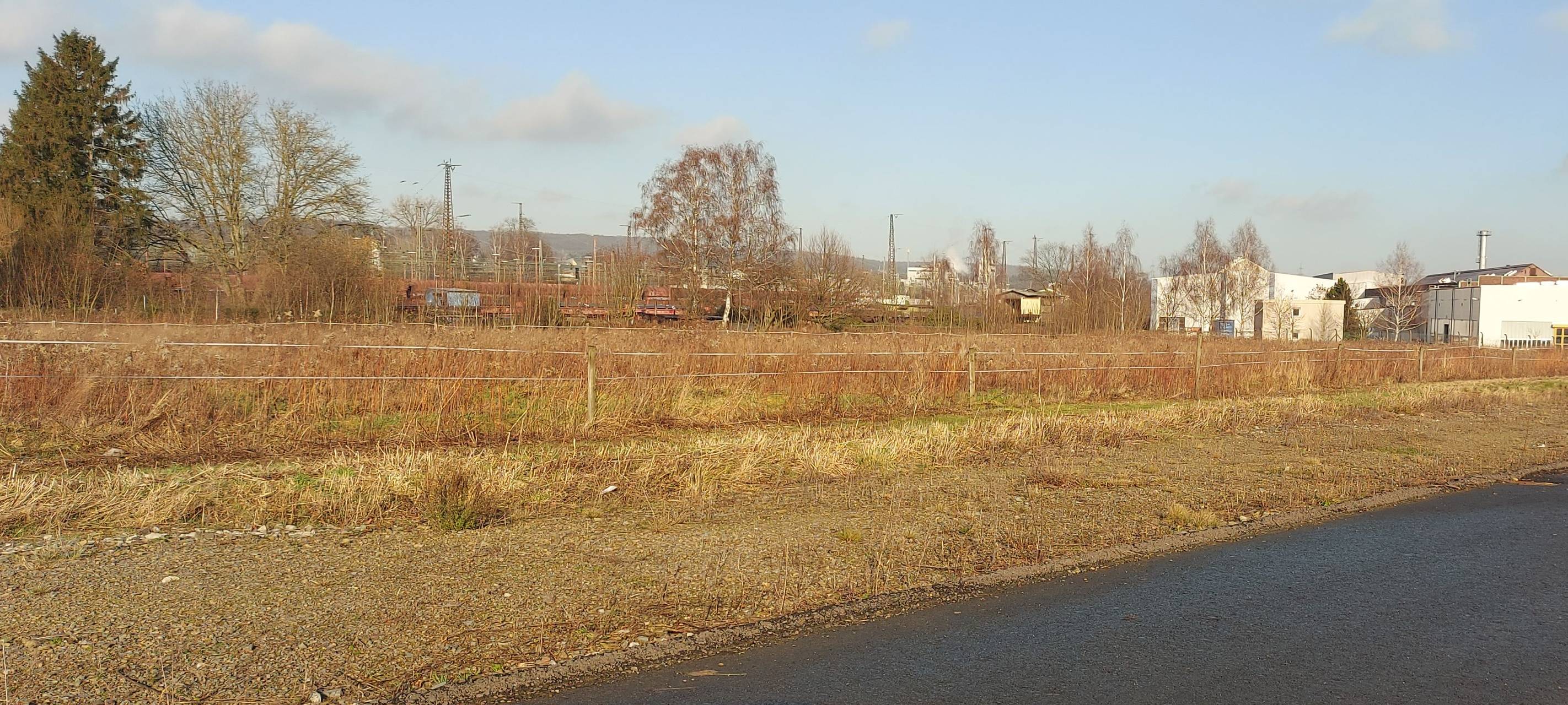 An dieser Stelle im Wandhofener Bruch soll die neue Sportanlage entstehen.