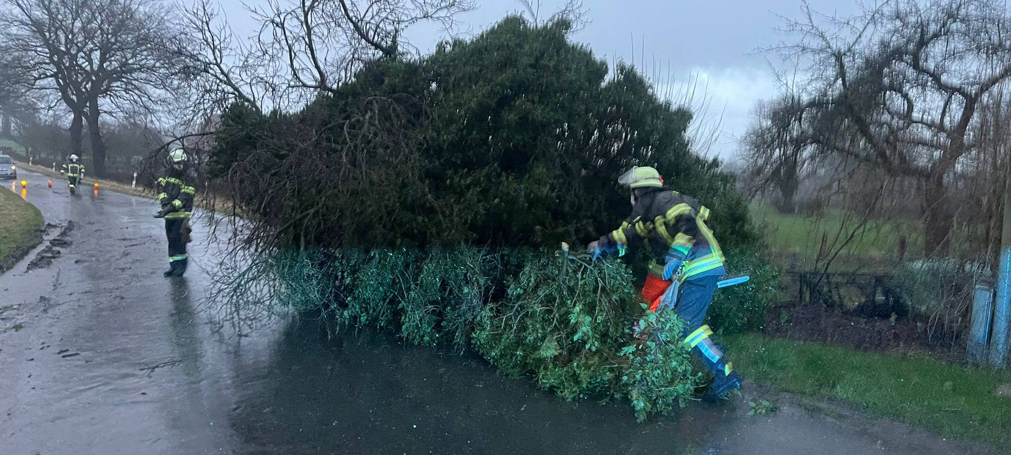Die Feuerwehr beseitigt einen Baum in Werne.