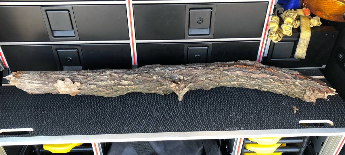 B236: Ermittlungen wegen versuchter Tötung nach Astwurf