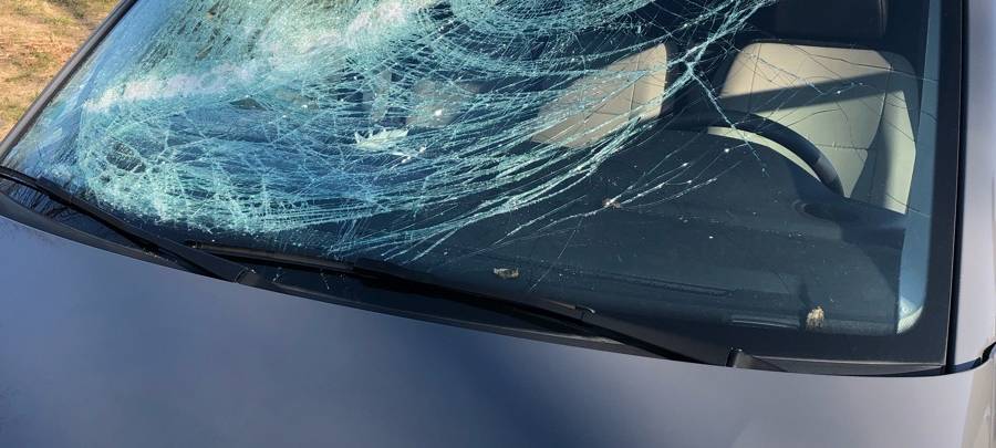 B236: Ermittlungen wegen versuchter Tötung nach Astwurf