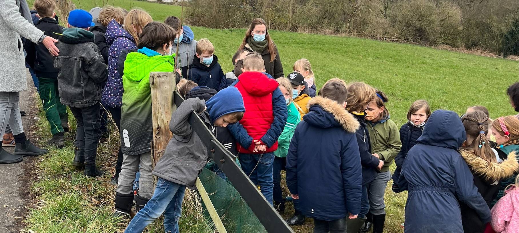 Grundschüler helfen Kröten