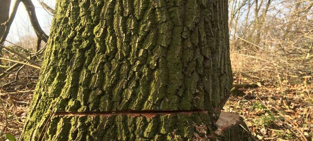 Bergkamen: Dienstaufsichtsbeschwerde gegen Jens Toschläger