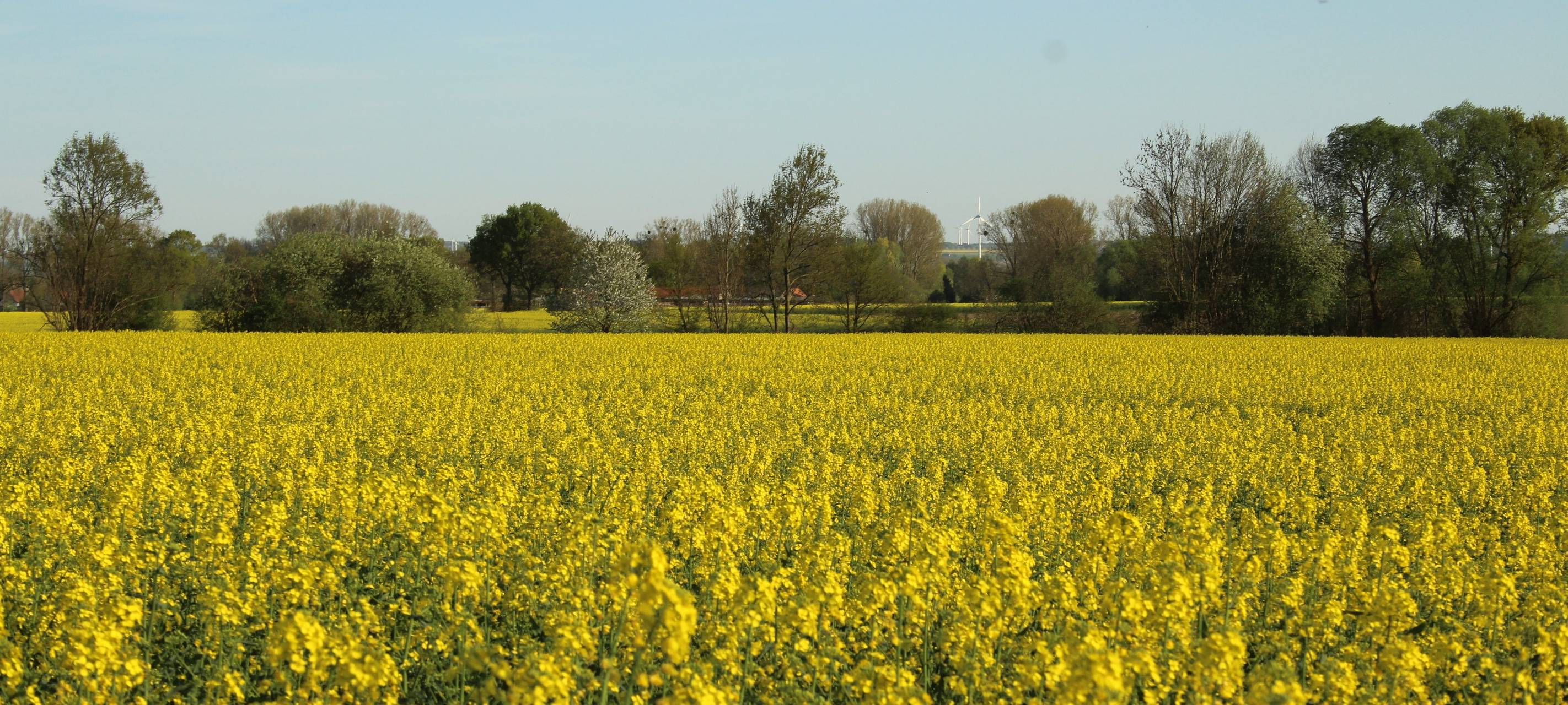 Unsicheres Jahr für Landwirte im Kreis Unna