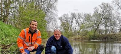 Wieder Aale in der Lippe