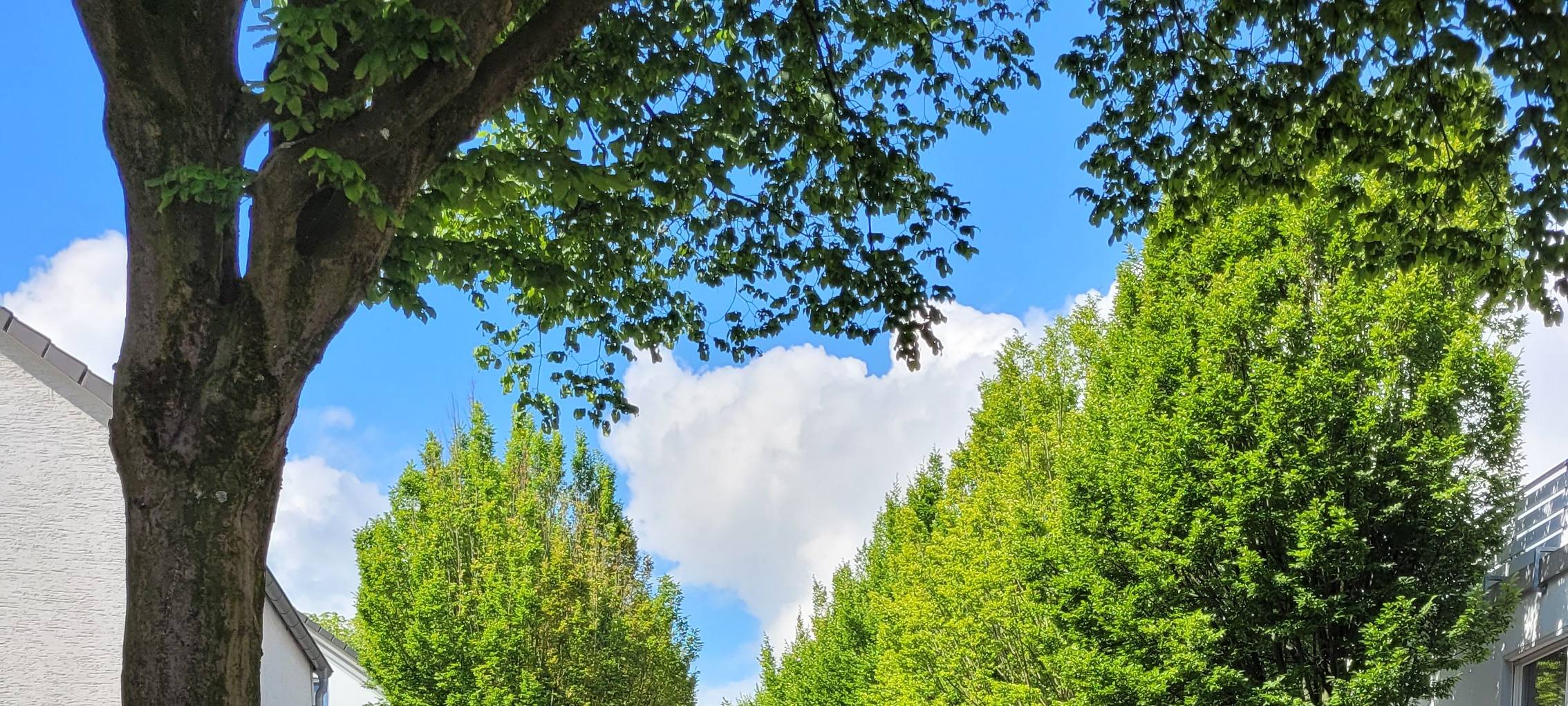 Unna: Kinderumzug zum Geburtstag der Stadtkirche