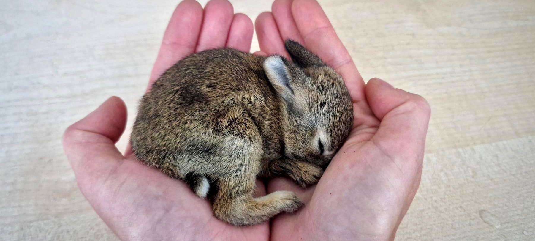 Kamen: Einsatz für "Flocke"