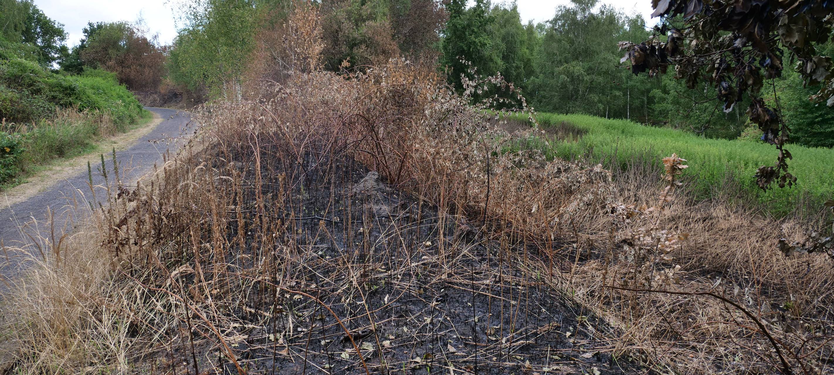 Preußenhalde in Lünen "brennt"