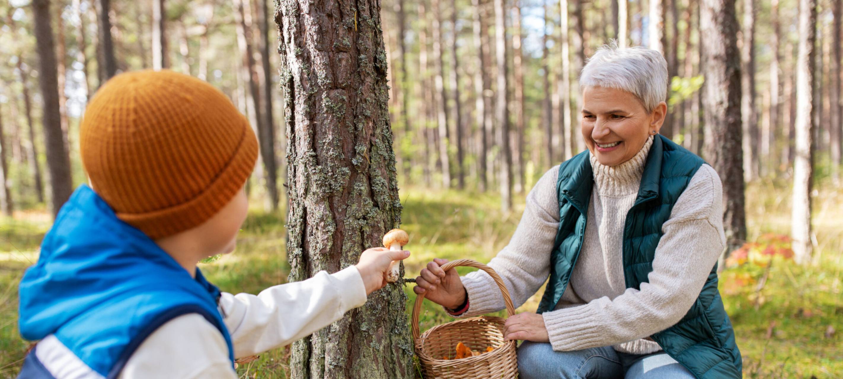 Beim Pilze sammeln ist im Kreis Unna in den nächsten Wochen besondere Vorsicht geboten, denn manche Pilze haben giftige Doppelgänger.