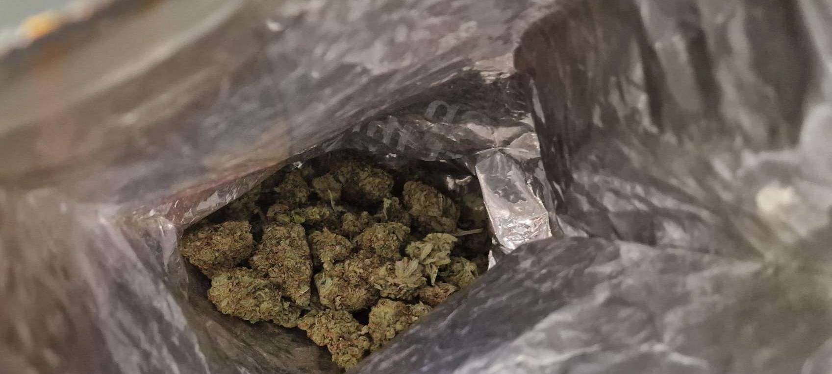 S4 nach Unna: Marihuana im Gepäck