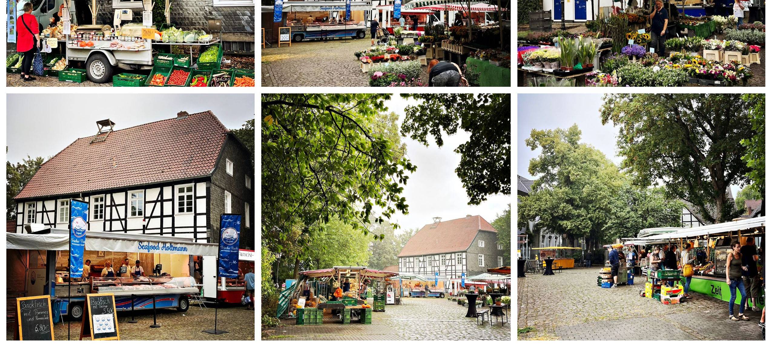 So sah es vergangenes Jahr bei der Markt-Premiere auf dem Wuckenhof aus.