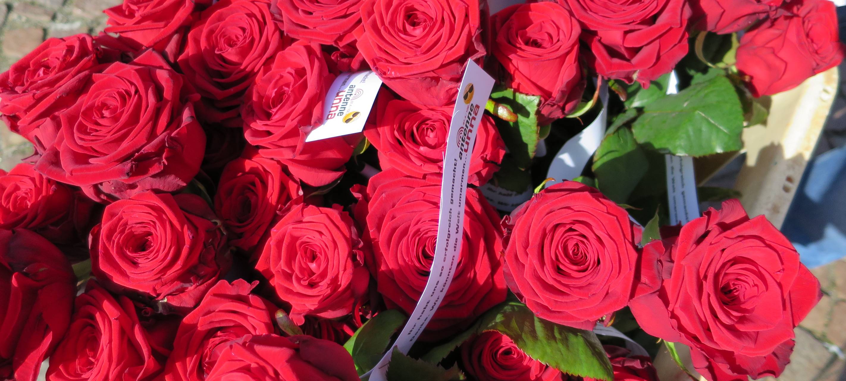 Antenne Unna ist der beliebteste Sender im Kreis