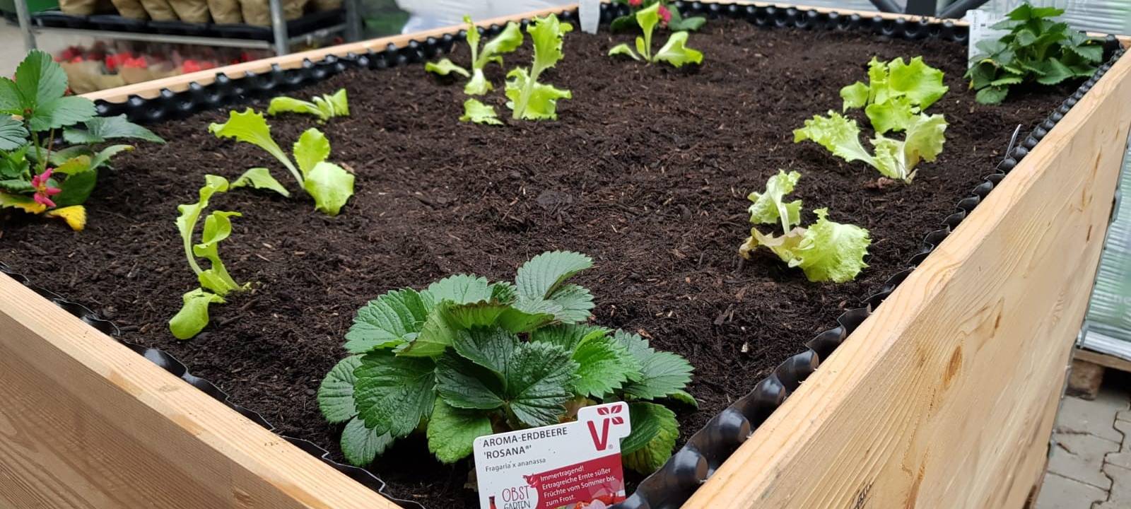 Der Antenne Unna-Garten: #02 Das Hochbeet