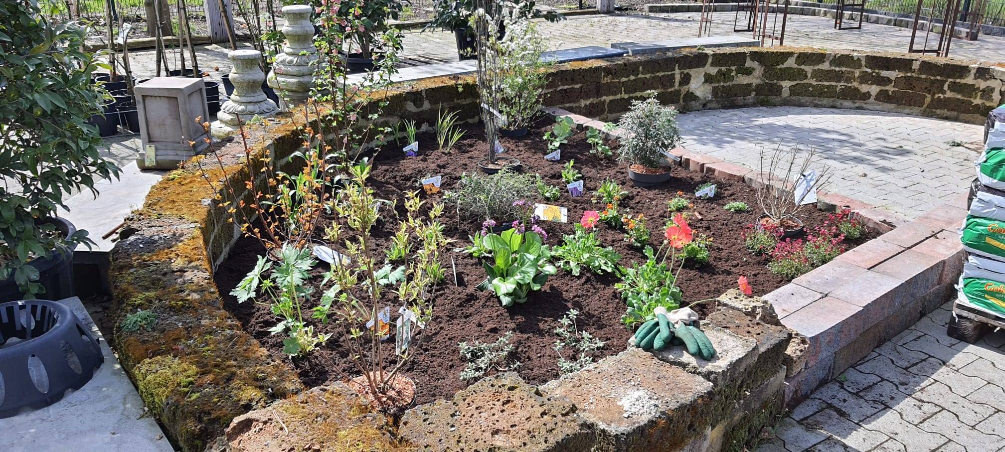 Der Antenne Unna-Garten: #03 Insektenfreundliches Staudenbeet