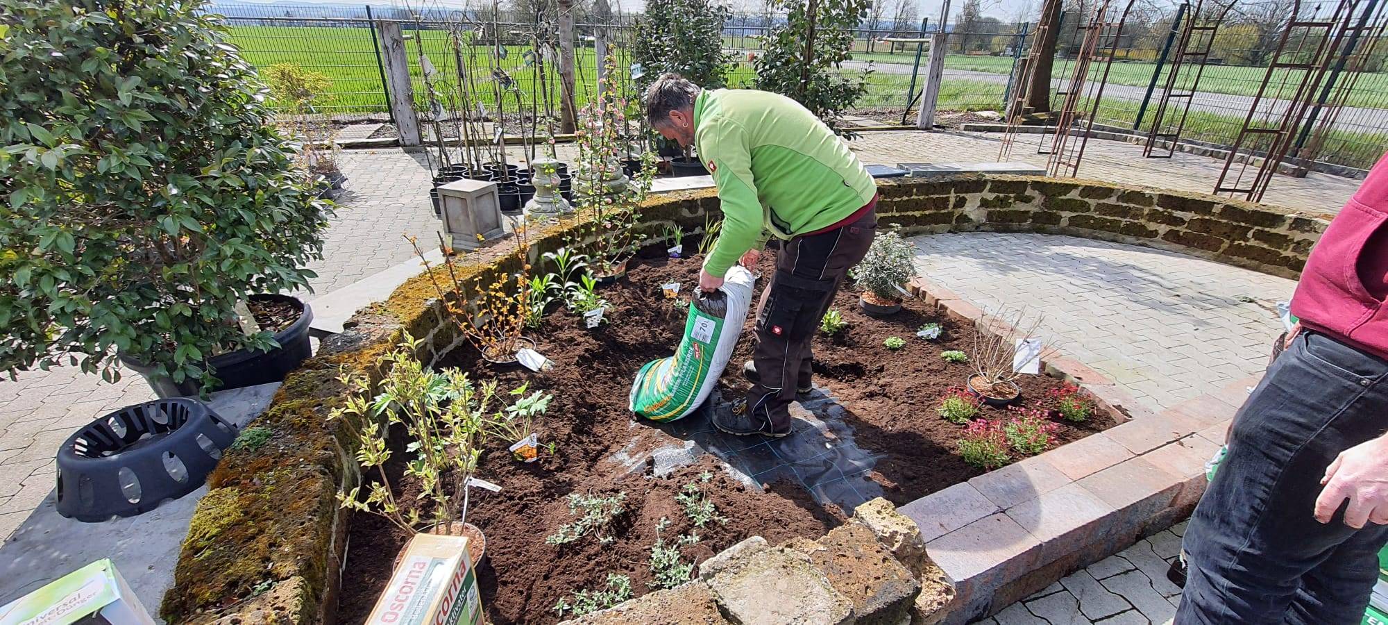 Der Antenne Unna-Garten: #03 Insektenfreundliches Staudenbeet
