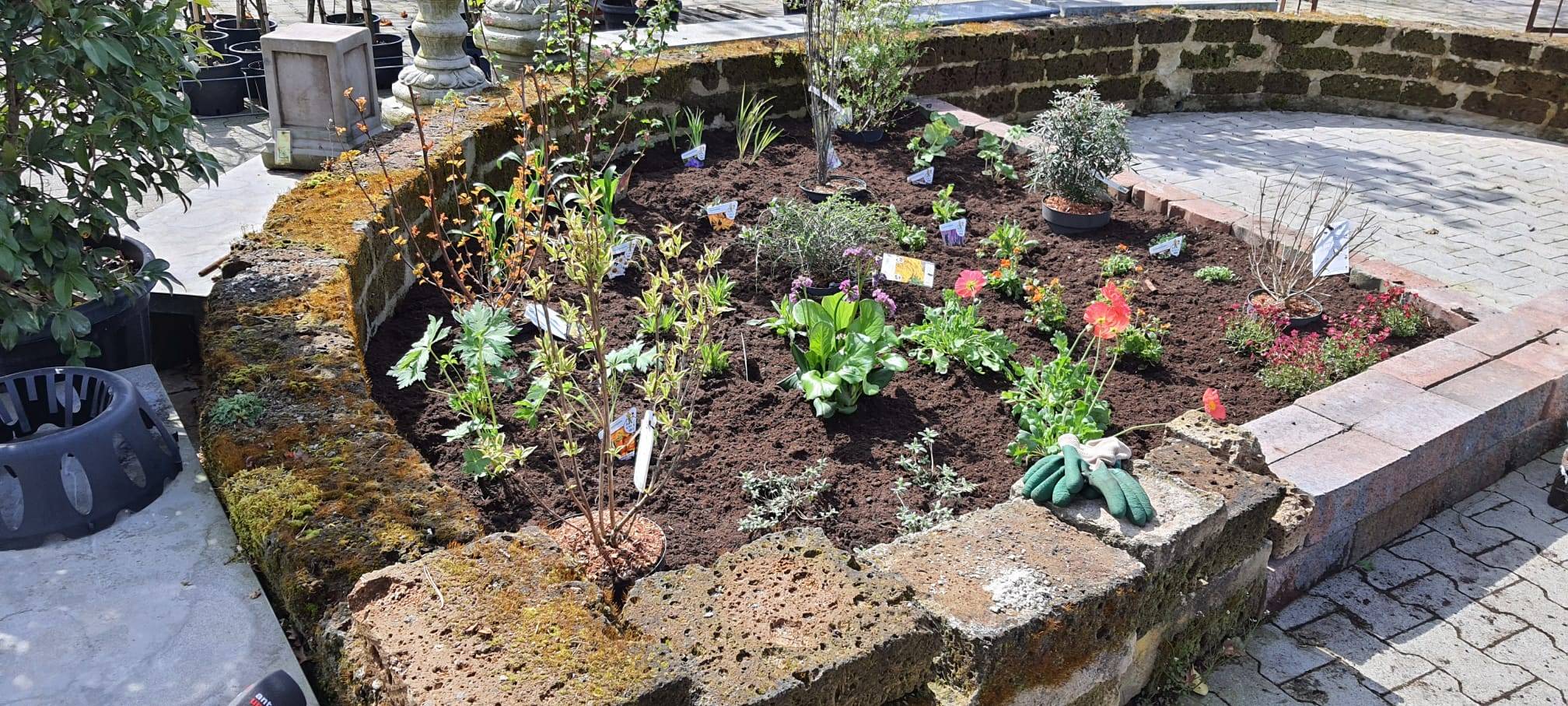 Der Antenne Unna-Garten: #03 Insektenfreundliches Staudenbeet