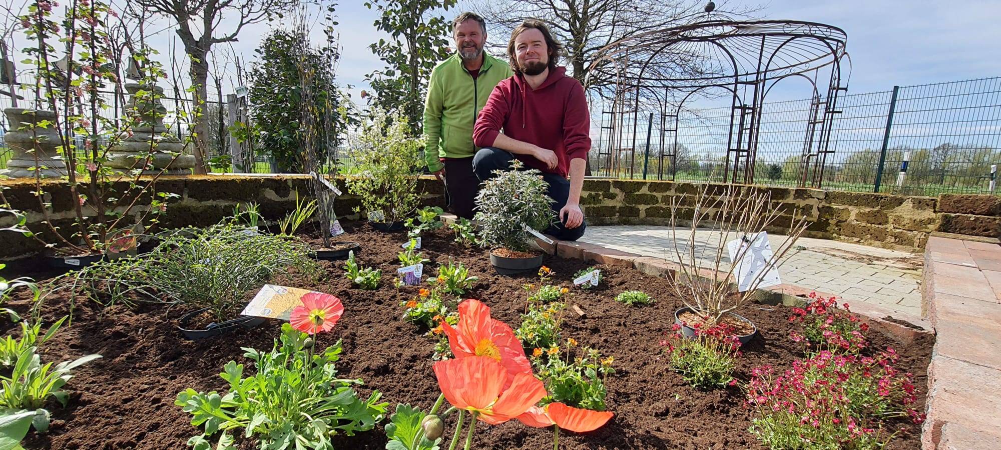 Der Antenne Unna-Garten: #03 Insektenfreundliches Staudenbeet