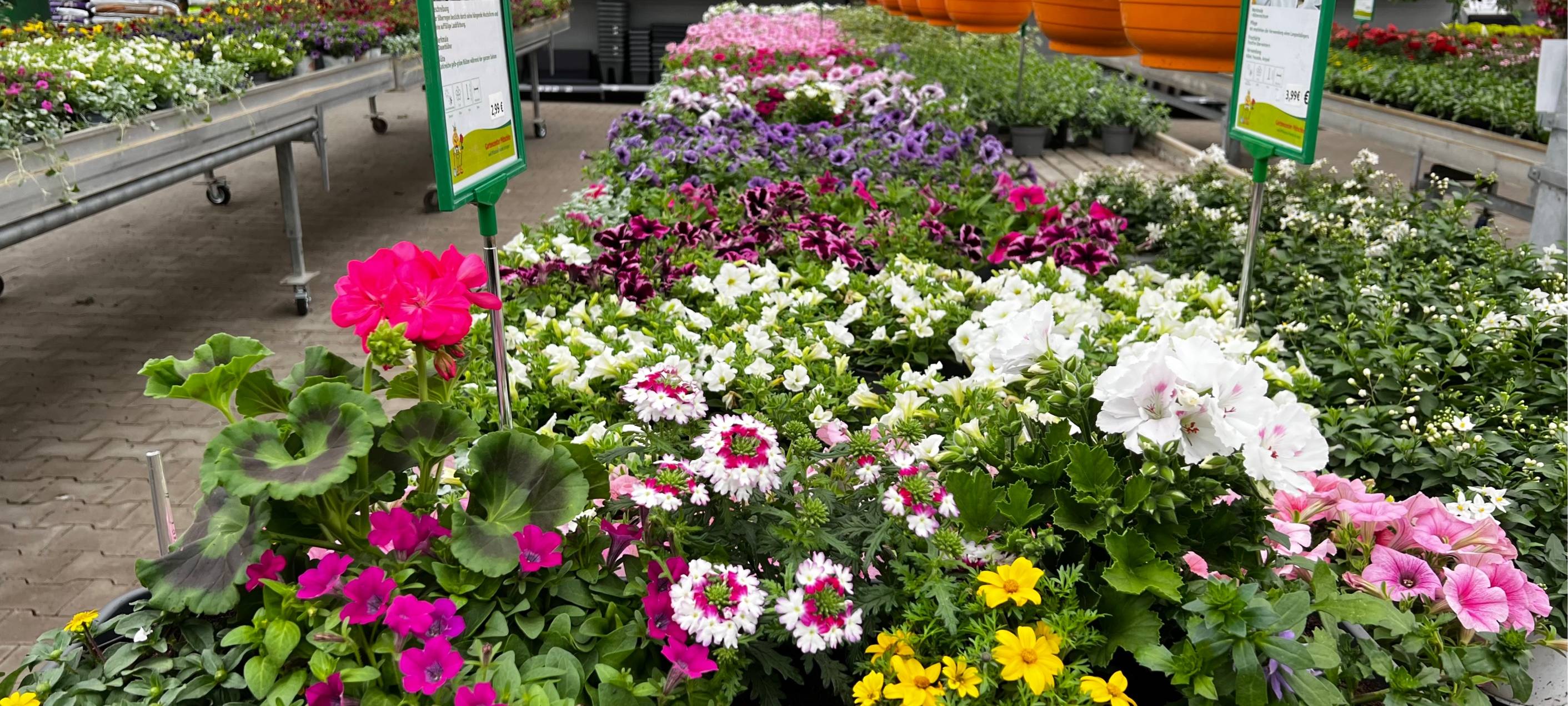 Der Antenne Unna-Garten: #04 Balkonkästen