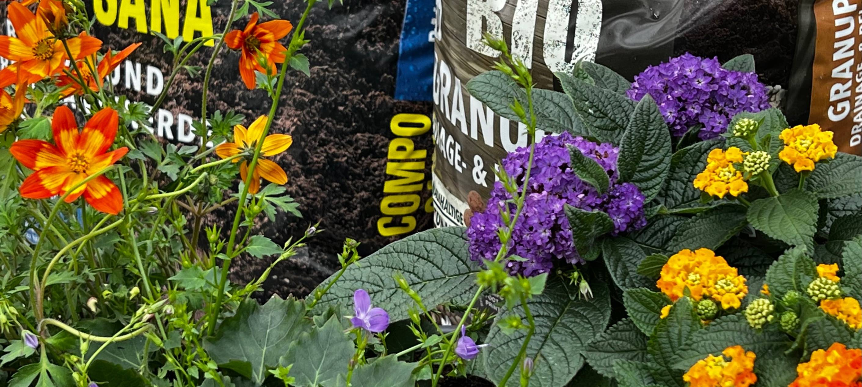 Der Antenne Unna-Garten: #04 Balkonkästen