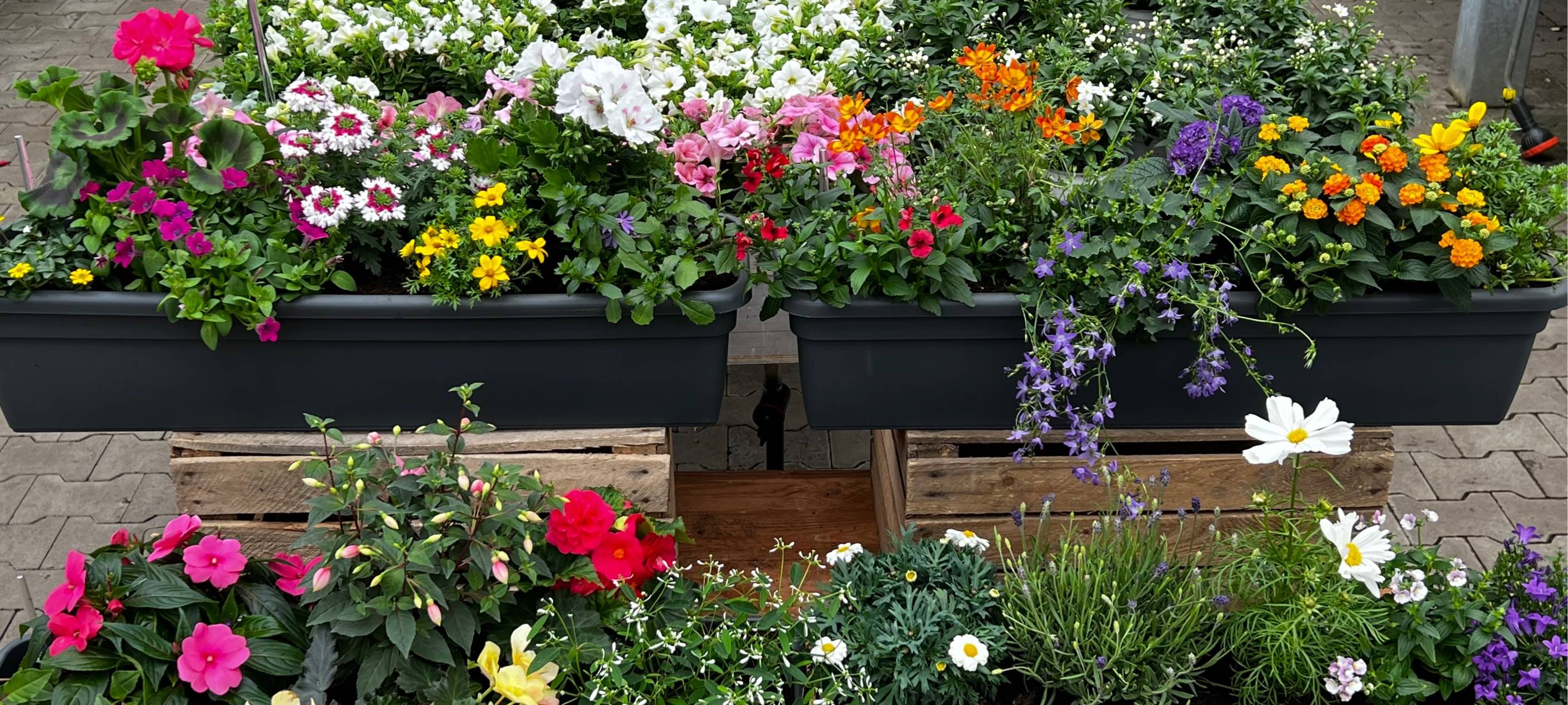 Der Antenne Unna-Garten: #04 Balkonkästen