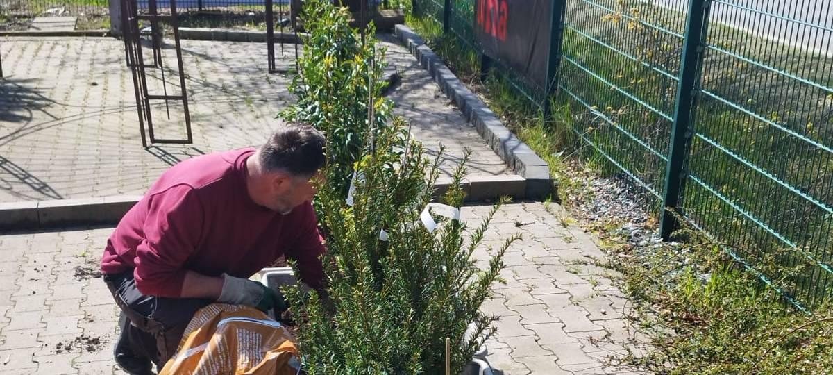 Der Antenne Unna-Garten: #05 Die Hecke
