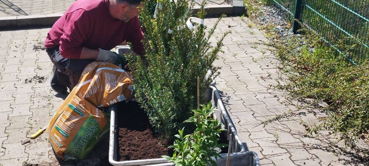 Der Antenne Unna-Garten: #05 Die Hecke