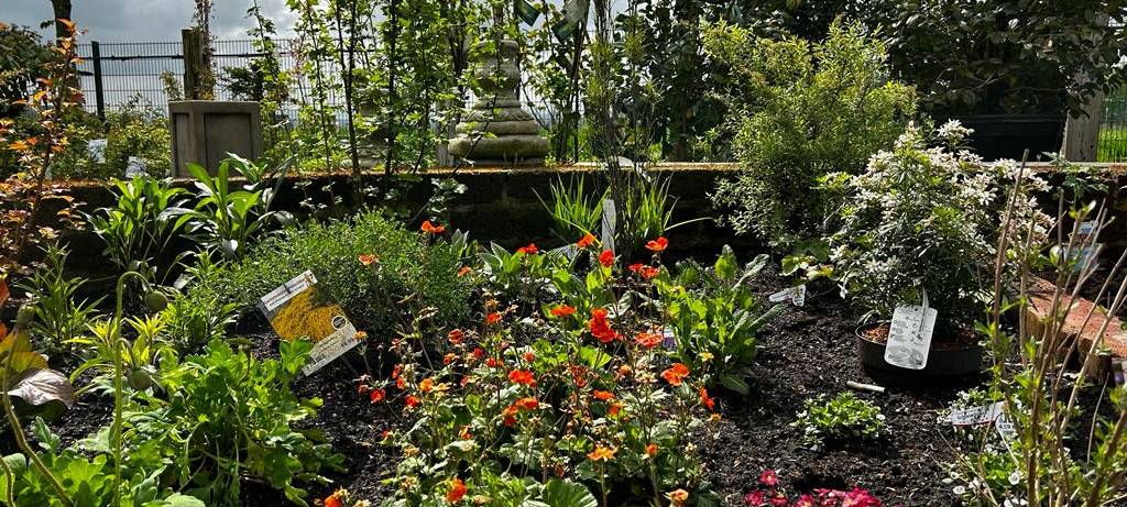 Der Antenne Unna-Garten: #06 Gemüsebeet