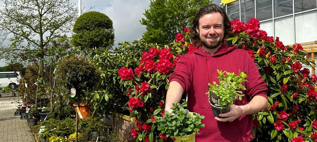 Der Antenne Unna-Garten: #06 Gemüsebeet