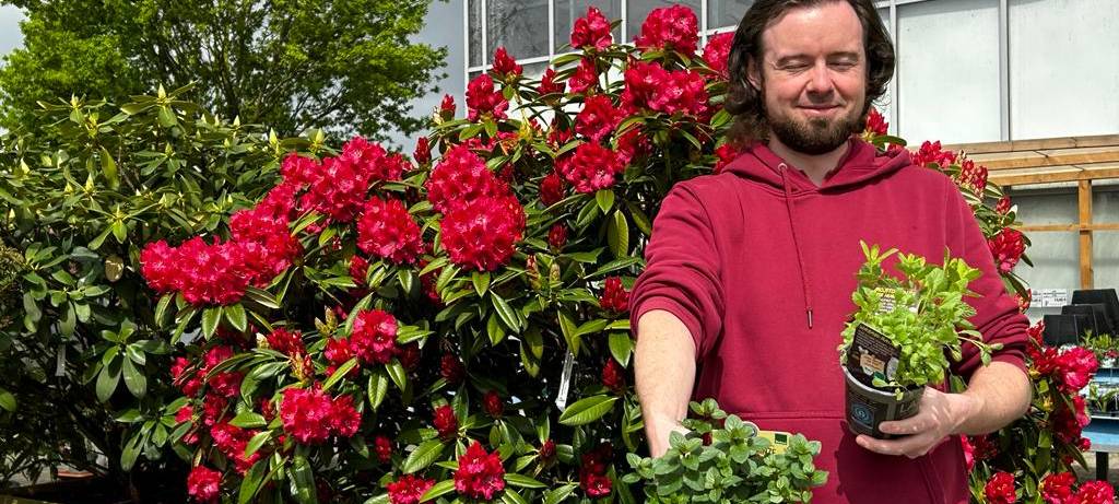 Der Antenne Unna-Garten: #06 Gemüsebeet