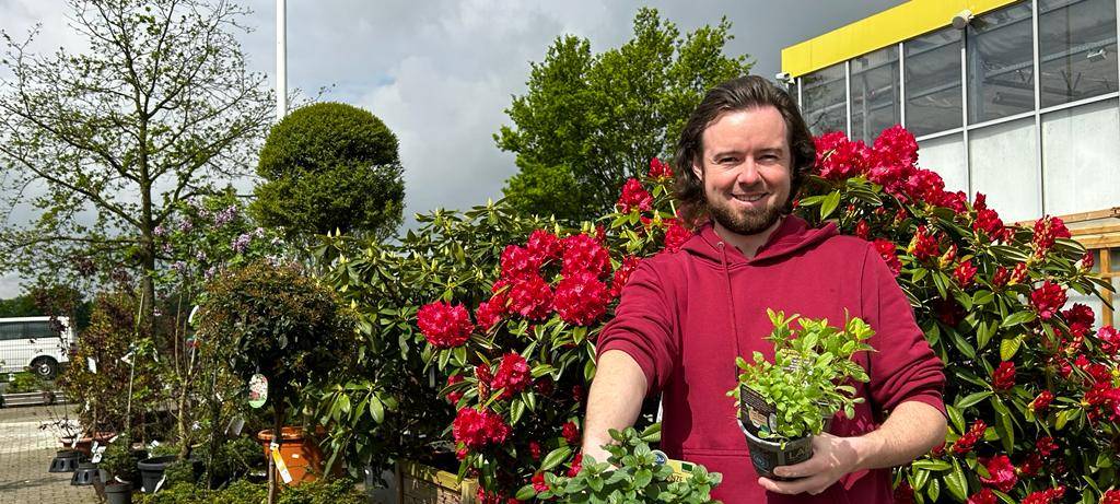 Der Antenne Unna-Garten: #06 Gemüsebeet