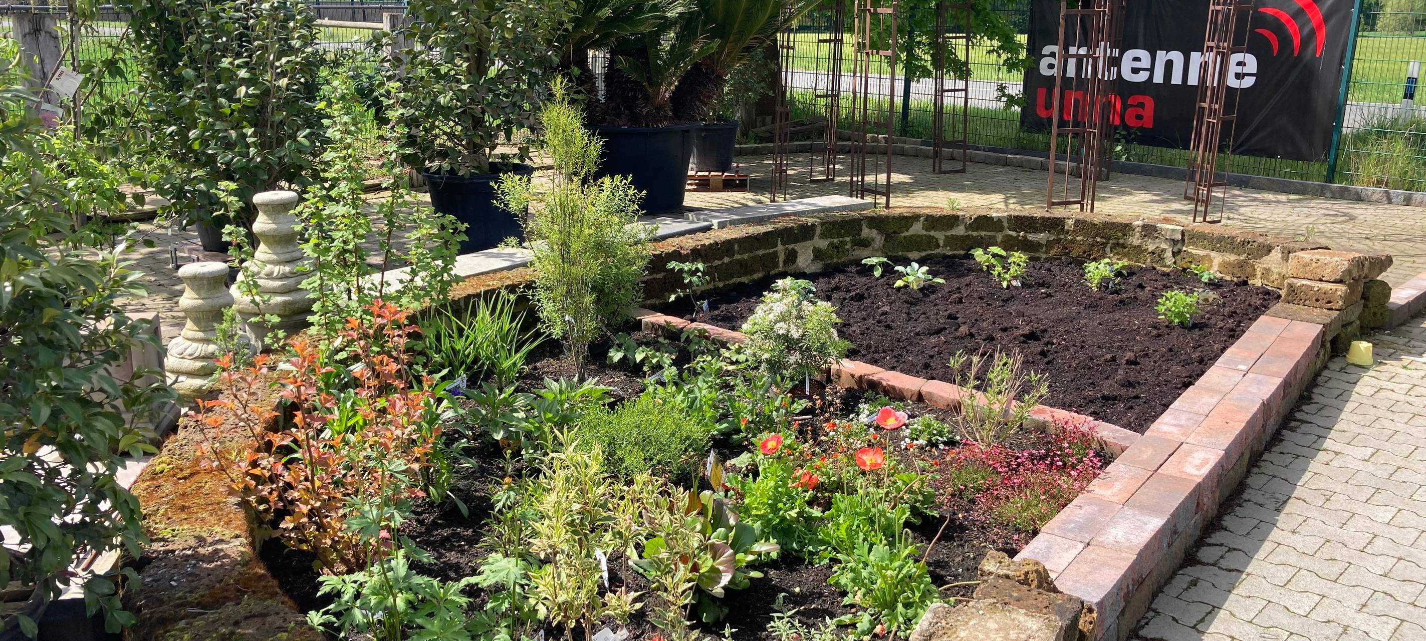 Der Antenne Unna-Garten: #07 Blattläuse & Schnecken