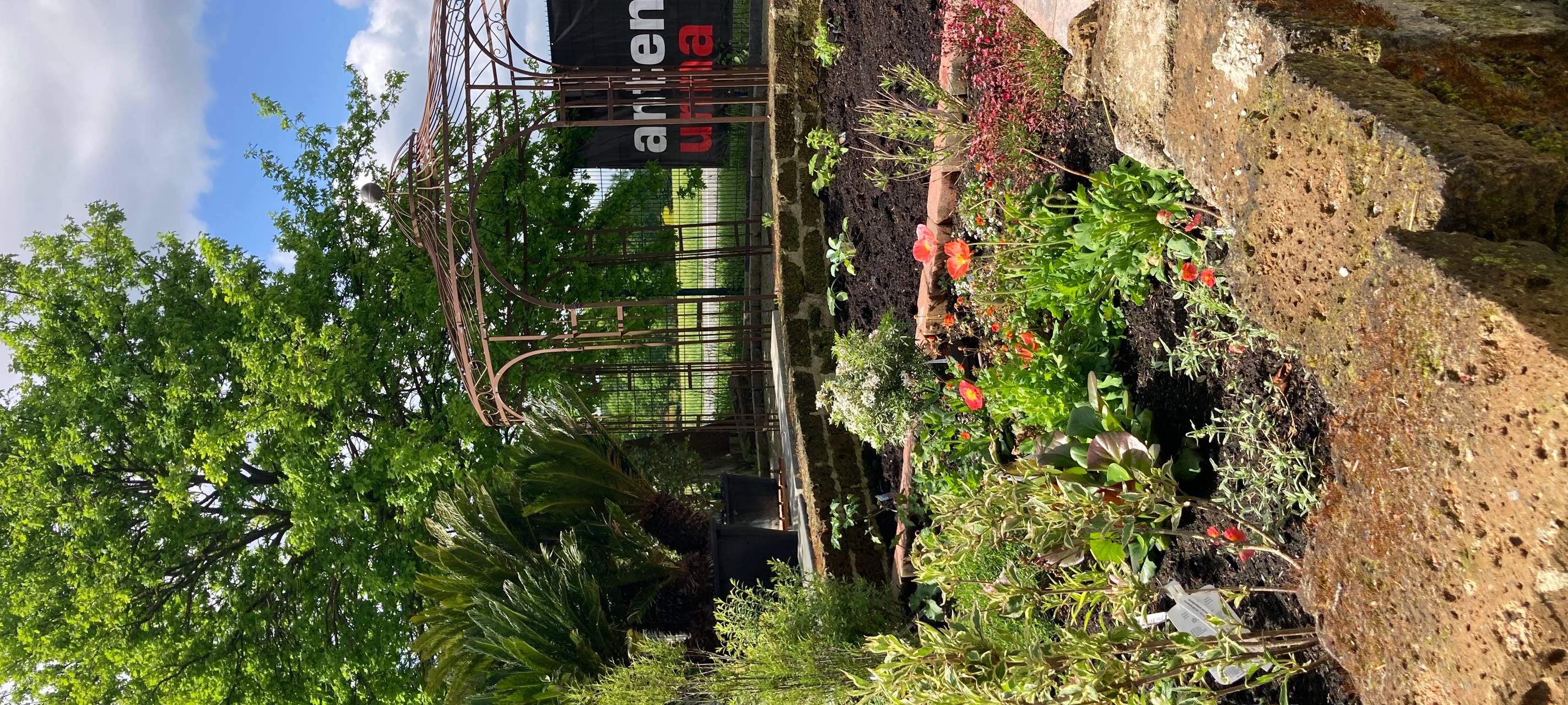 Der Antenne Unna-Garten: #07 Blattläuse & Schnecken