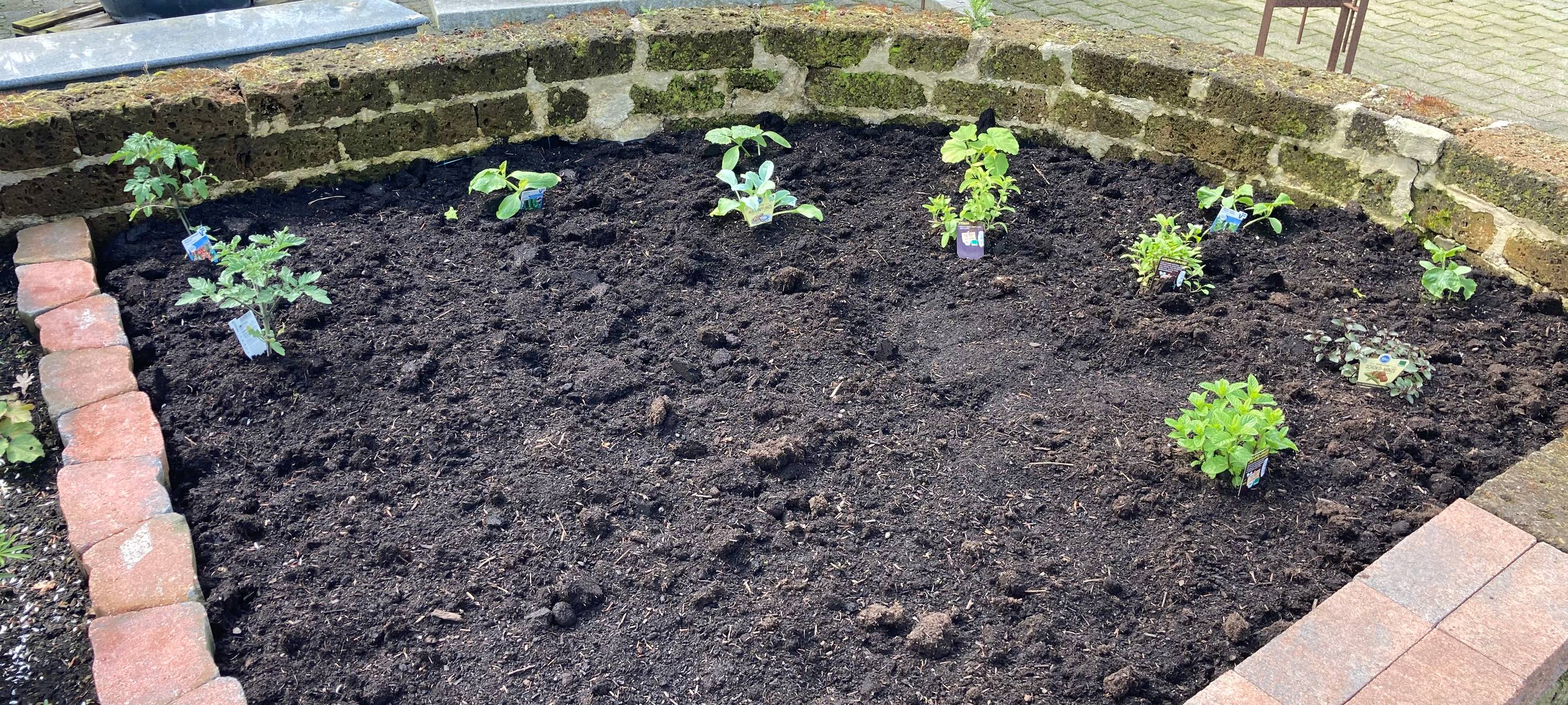 Der Antenne Unna-Garten: #07 Blattläuse & Schnecken