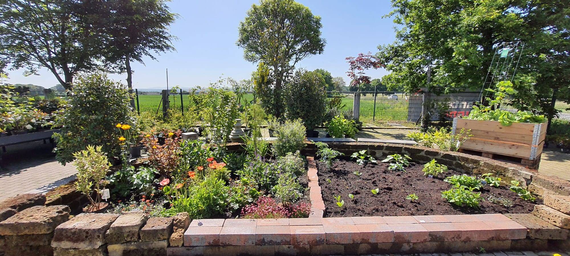 Der Antenne Unna-Garten: #09 Bewässerung