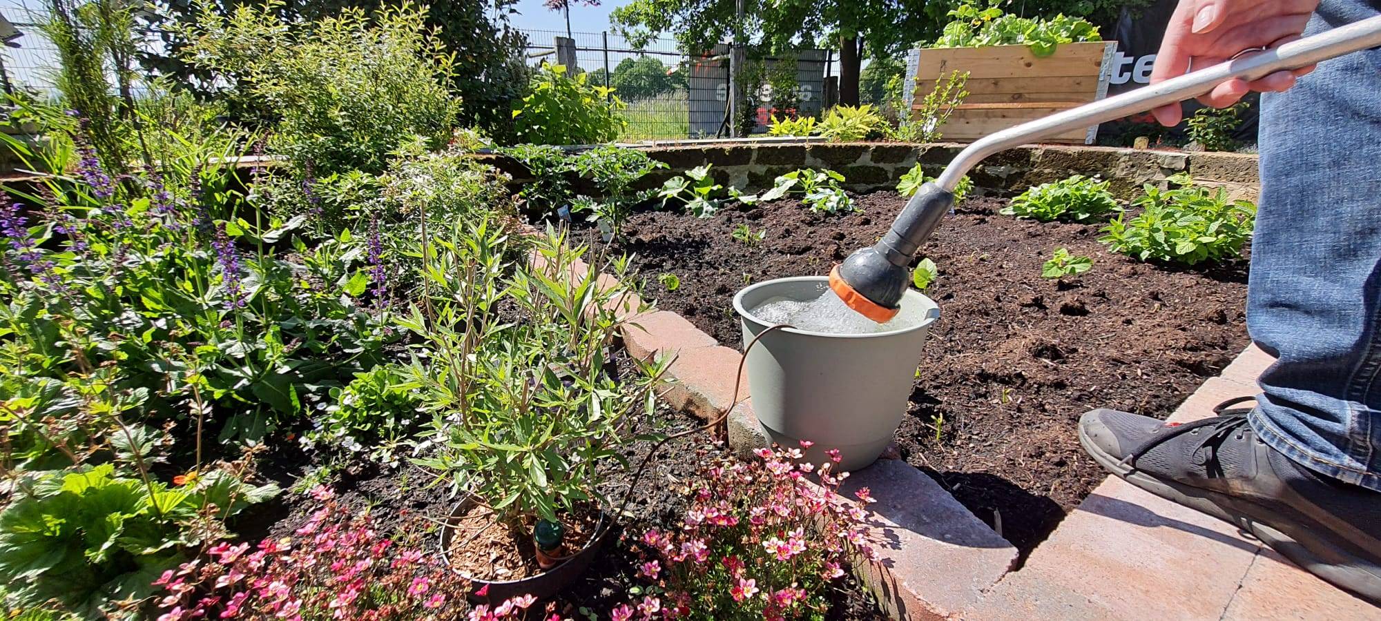 Der Antenne Unna-Garten: #09 Bewässerung